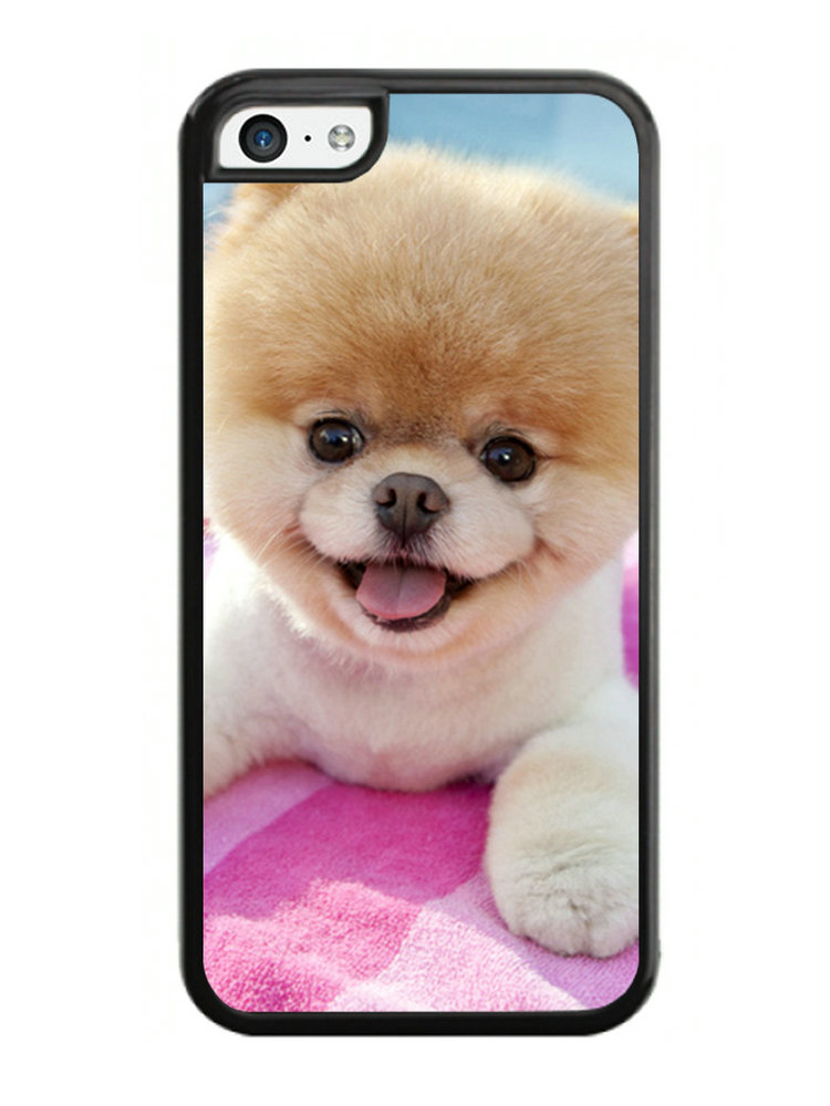 Dog the life of the world's cutest dog Case for iPhone 5C